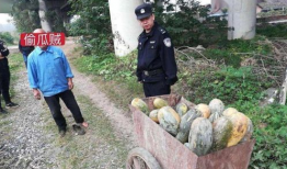 吃瓜最新事件爆料青海,吃瓜群众揭秘最新事件内幕！”