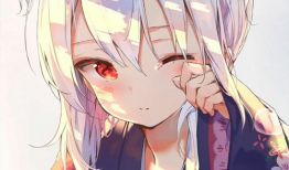 照片 动漫,揭秘动漫中的奇幻世界